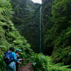 Dwie turystki podziwiają wodospad na szlaku Levada do Caldeirão Verde, otoczone bujną zielenią paproci.