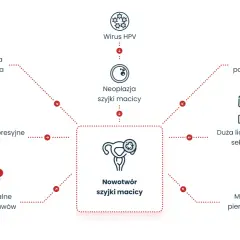 Wirus HPV, palenie, duża liczba partnerów seksualnych i inne czynniki mogą prowadzić do nowotworu szyjki macicy. Czy HPV można wyleczyć? Tak, ale wczesne wykrycie jest kluczowe.