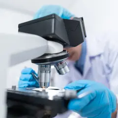 Naukowcy w niebieskich rękawiczkach prowadzą badanie miodu pod mikroskopem, dbając o jego jakość i bezpieczeństwo.