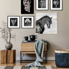 Un mur décoré de tableaux en noir et blanc, dont un majestueux cheval, crée une ambiance élégante. Un petit meuble en bois et une plante ajoutent une touche naturelle à cette décoration facile.