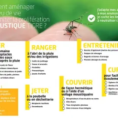 Un moustique tigre sur un doigt, avec des conseils pour éviter sa prolifération, notamment en gérant les bassins anti moustique.