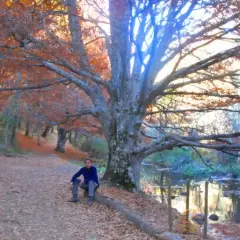 Hombre sentado junto a un arroyo en un bosque otoñal de Montejo de la Sierra, con hojas naranjas y marrones cubriendo el suelo.