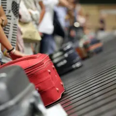 Ile alkoholu do Polski? Limity UE i spoza + nowe zasady 2026