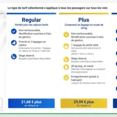 Bagage soute Ryanair : Tout savoir pour ne pas payer trop cher