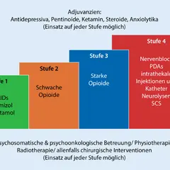 Stufenschema zur Schmerztherapie: Stufe 1 (NSAIDS), Stufe 2 (schwache Opioide), Stufe 3 (starke Opioide), Stufe 4 (Nervenblock, PDAs etc.). Adjuvanzien und psychosoziale Betreuung sind auf jeder Stufe möglich.