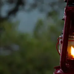 En röd oljelampa med flammande veke hänger på en mossig trädstam. Lampolja som inte luktar ger ett varmt sken i skymningen.