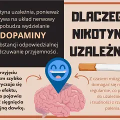 Grafika wyjaśnia, dlaczego nikotyna uzależnia, wpływając na mózg i dopaminę. Organizm szybko się przyzwyczaja, co prowadzi do trudności z rzuceniem palenia.