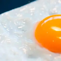 Un œuf au plat, avec son jaune d'or brillant, est servi dans une assiette bleue. Les **œufs frits** sont un délice simple.