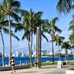 Kiedy jechać do Miami? Słoneczny dzień, palmy, biegnące kobiety i statek towarowy na wodzie. Idealny czas na aktywność!