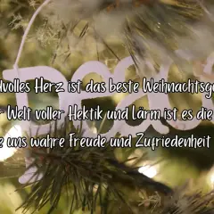 Besinnliche Gedanken zum Advent: Ein friedvolles Herz schenkt Freude. Ein weißer Schriftzug "Peace" hängt am Weihnachtsbaum.