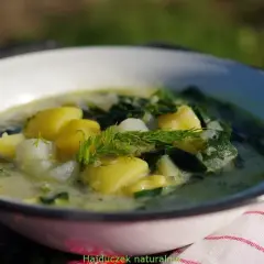 Pyszna, kremowa zupa z kalarepy z ziemniakami i koperkiem, podana w białej misce na tle zielonej trawy.