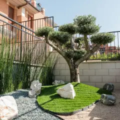 Un ulivo solitario su un'isola di erba sintetica, circondato da ghiaia e rocce. Le **bordure intorno agli alberi** sono definite da un sottile bordo nero.