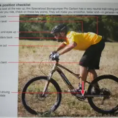 Prawidłowa pozycja na rowerze MTB: biodra cofnięte, tułów lekko pochylony, głowa uniesiona, łokcie zgięte, kolana ugięte, ciężar na pedałach.