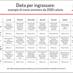 Scheda alimentazione palestra donne: esempio di menù settimanale da 2500 calorie con colazione, spuntini, pranzo, cena e spuntino serale.