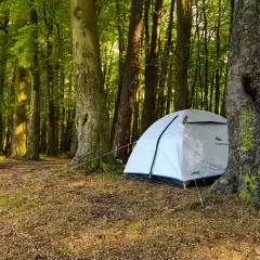 Namiot rozbity w lesie, idealne miejsce, by zanocuj w lesie. Słońce przebija się przez liście, tworząc magiczny klimat.