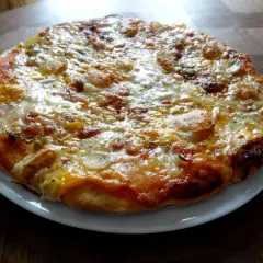Pizza appétissante sur une assiette blanche, garnie de fromage fondu et d'oignons. Une recette facile de pâte levée rapide pour un repas gourmand.