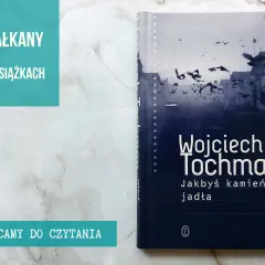 Okładka książki Wojciecha Tochmana "Jakbyś kamień jadła" z ptakami nad miastem. Polecamy do czytania.