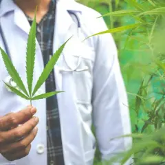 Medyczna marihuana gdzie kupić - krok po kroku do legalnego zakupu