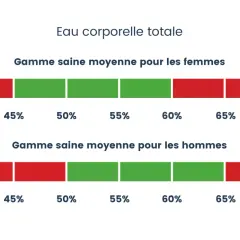 Barres illustrant le pourcentage d'eau dans le corps : une gamme saine pour les femmes (45-60%) et pour les hommes (40-65%).