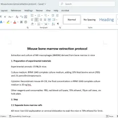 Documento de Word con protocolo de extracción de médula ósea de ratón. Aprende como hacer un documento en Word con este ejemplo.