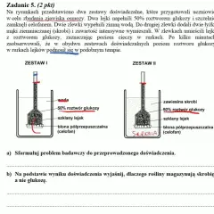 Zjawisko osmozy: Jak działa i dlaczego jest kluczowe w biologii?