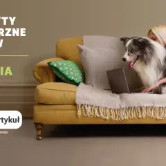 Co na odrobaczanie psa i kota? Wiem, jak ochronić pupila!