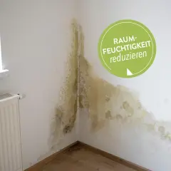 Schimmel an der Wand deutet auf 70 prozent luftfeuchtigkeit in der wohnung hin. Ein grüner Kreis fordert: "Raumfeuchtigkeit reduzieren".
