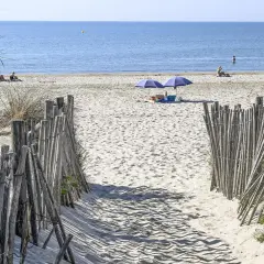 Ein sandiger Weg führt zum Montpellier Strand. Zwei Sonnenschirme spenden Schatten, während Menschen die Sonne genießen.