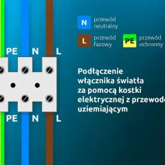 Schemat pokazuje, jak podłączyć dwie lampy do jednego kabla za pomocą kostki elektrycznej. Widać przewody PE, N i L.
