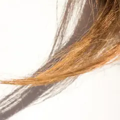 Un mechón de cabello castaño claro con puntas abiertas, iluminado por la luz del sol que proyecta sombras alargadas.