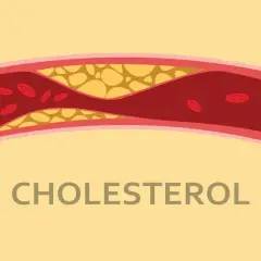 Czy cholesterol jest produkowany w skórze? Odkryj jego znaczenie dla zdrowia