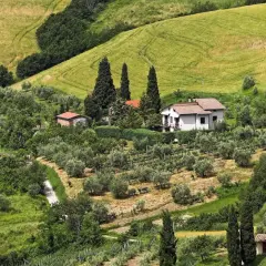 Colline toscane con uliveti e vigneti, dove si intravedono piccoli borghi vicino a San Casciano Val di Pesa.