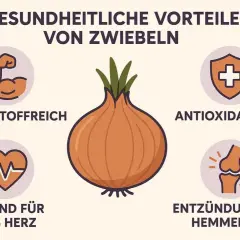 Gesundheitliche Vorteile von Zwiebeln: Nährstoffreich, Antioxidantien, gut fürs Herz, entzündungshemmend. Zwiebeln sind gesund!