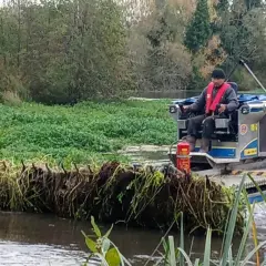Un opérateur sur une barge retire la jussie rampante envahissante d'un cours d'eau, protégeant ainsi l'écosystème.