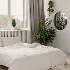 Biała sypialnia inspiracje: przytulne łóżko z pościelą, choinka, rośliny i lustro tworzą spokojną atmosferę.