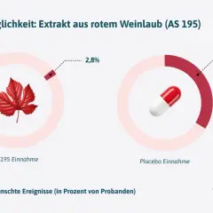Vergleich der Verträglichkeit: Rotes Weinlaub (AS195) zeigt nur 2,8% unerwünschte Ereignisse, Placebo 34%.