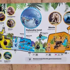 Mapa największego oceanarium w Polsce w Łodzi. Zobacz orangutany, słonie, pingwiny i podwodny tunel.