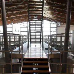 Interno di una cantina moderna con grandi serbatoi d'acciaio e una scala centrale. L'architettura ricorda un progetto di Renzo Cotarella.