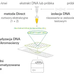Co wykrywa badanie mikromacierzy? Kluczowe informacje o nieprawidłowościach