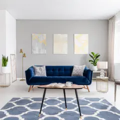 A stylish living room with a deep blue velvet sofa. Learn how to wash velvet to keep it looking luxurious.