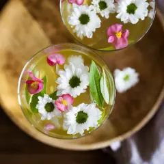 Twoja mrożona herbata: Przepisy, Cold Brew, bez cukru i goryczki