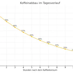 Der Graph zeigt den Koffeinabbau im Körper über 12 Stunden. Nach 12 Stunden sind nur noch 19% des ursprünglichen mg Koffein pro Tag vorhanden.