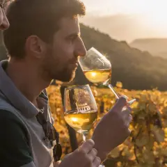 Un couple profite d'une dégustation vin Jura au coucher du soleil, entouré de vignes dorées.