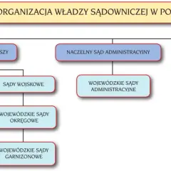 Schemat organizacji władzy sądowniczej w Polsce. Sąd Najwyższy jest na szczycie, a poniżej sądy powszechne, wojskowe i administracyjne.