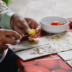 Mains habiles séparant les graines de tomates pour les faire sécher. Un geste patient pour la prochaine récolte.