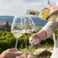 Versando vino bianco in calici con logo Soave, sullo sfondo un paesaggio collinare con vigneti e un castello. Un brindisi al Soave Superiore DOCG.