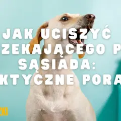 Szczekający pies sąsiada? Jak odzyskać spokój w bloku!