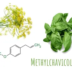 Basilikum und Dill mit chemischer Formel von Methylchavicol. Die **basilikum wirkung psyche** wird durch diese Verbindung beeinflusst.