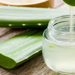 Frisches, reines Aloe Vera Gel tropft aus einem Blatt in ein Glasgefäß. Daneben liegen weitere Aloe Vera Blätter auf Holz.