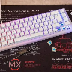 Mechanische Tastatur-Switches: CHERRY MX erklärt die Tastatur Switches Unterschiede. Blaue Switches liegen neben der Tastatur.